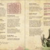 Ritual Spellbook and Witch Class for 5e - Image 8
